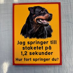 Fynd - Jag springer till staketet